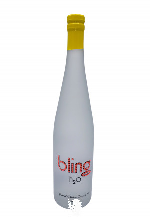 BLING 750 mL Still Water (Red) Single Bottle