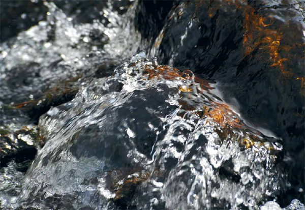 realms of water