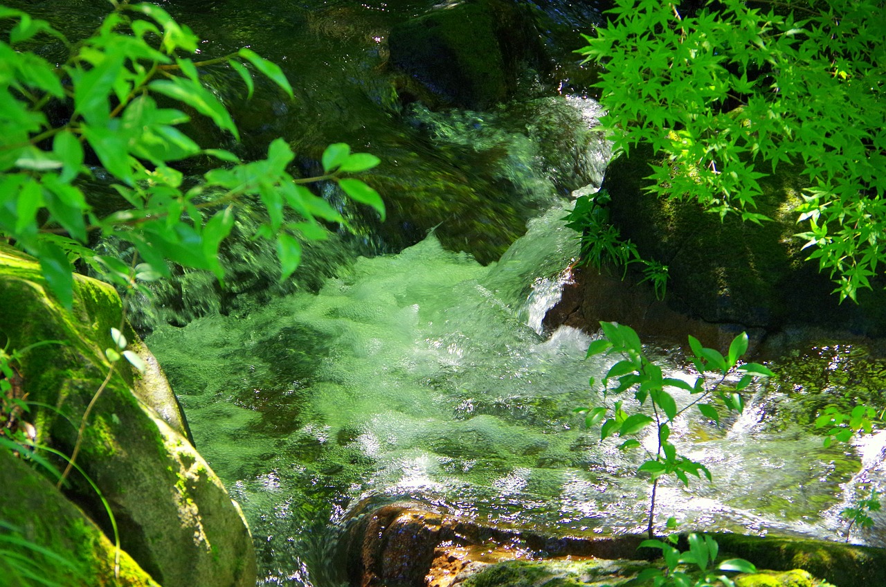 water source